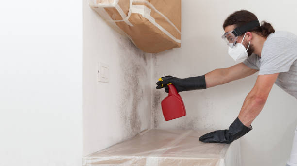 Professional Commercial Mold Remediation technician working in Wellsville, PA