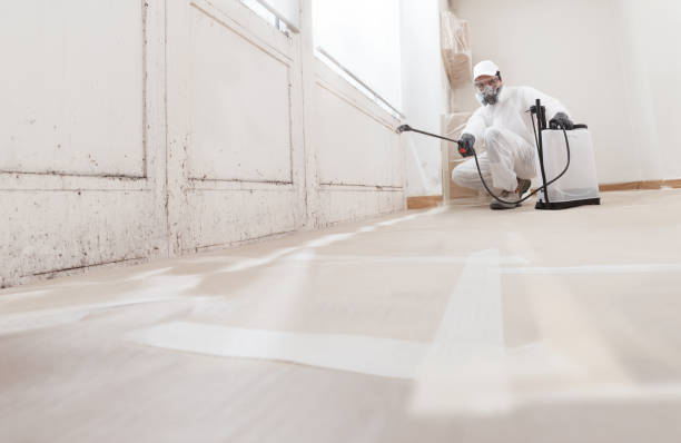 24/7 Emergency Commercial Mold Remediation experts in Wellsville, PA
